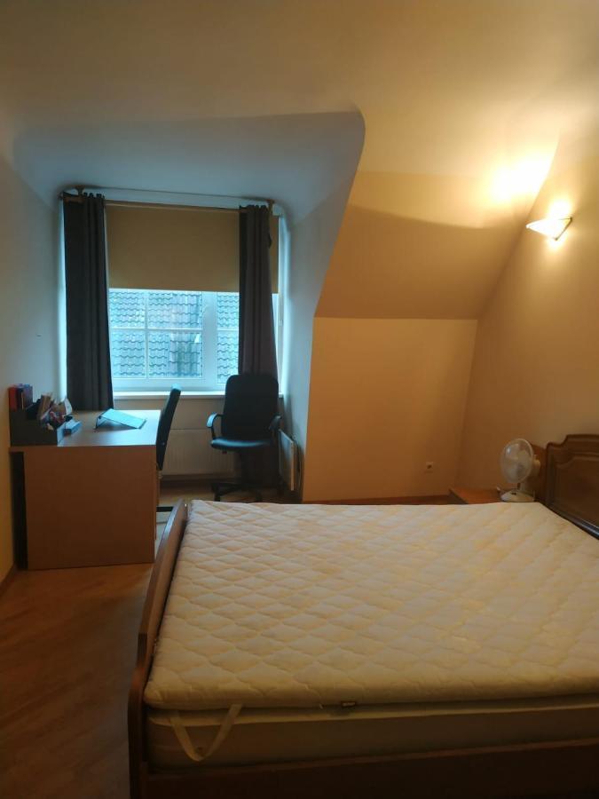 Red Nose Roof-Top Apartment Riga Luaran gambar